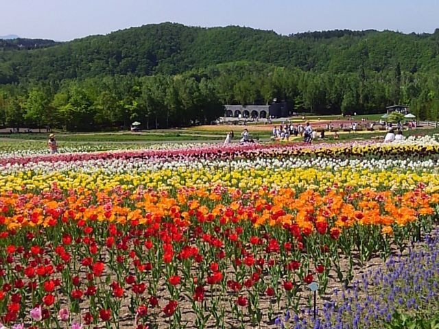 FƂǂYɉԂ炩Ă܂I_c삷uˌ