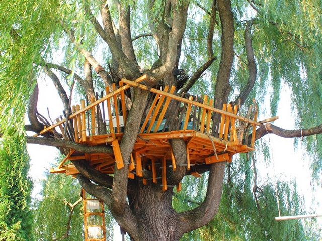 o邱Ƃłc[nEXB
q킭킭_^뉀