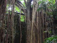 ���傱����̃K���K���[�̒J�ւ̓��e�ʐ^1