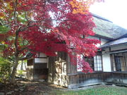 񂿂񂳂̌hLOق̓eʐ^1