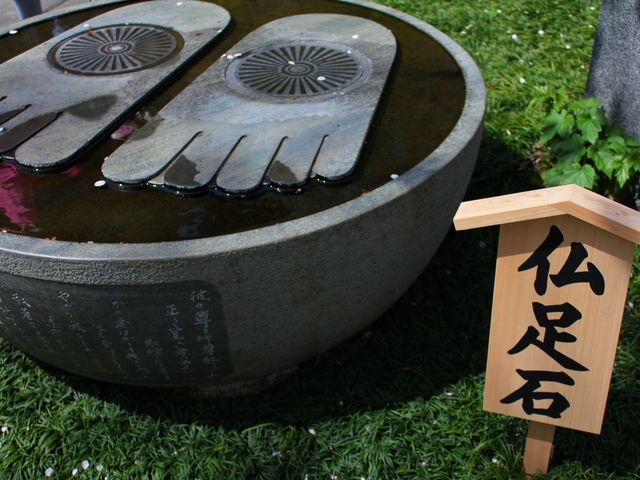 �����΂ɂ����̉Ԃт炪�B_���J��