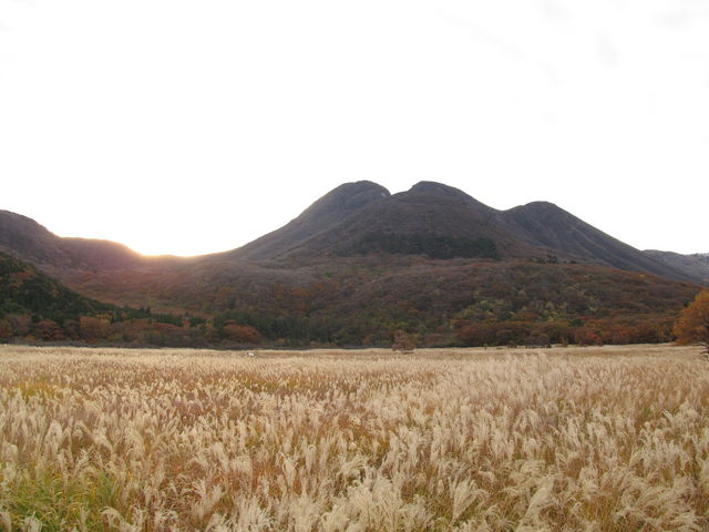 �^�f������_���Ҍ��r�W�^�[�Z���^�[