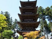 �܂�����̖��鎛�i�V�������n�s�j�̓��e�ʐ^1