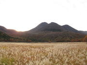 92̒ҌrW^[Z^[̓eʐ^1