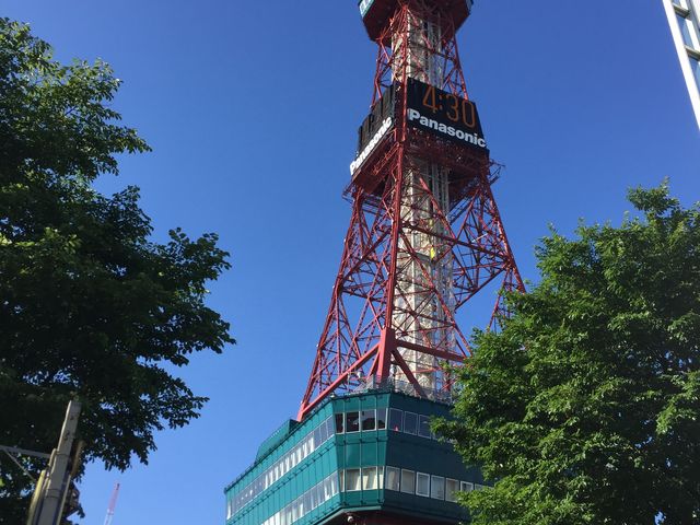 ���V�ł���_�����ۂ�e���r��