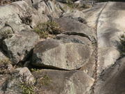 ibokorori����̊C�����̓��e�ʐ^3