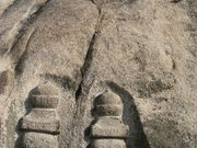 ibokorori����̐������̓��e�ʐ^2