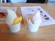 傱̃nbslXf[B̓eʐ^1