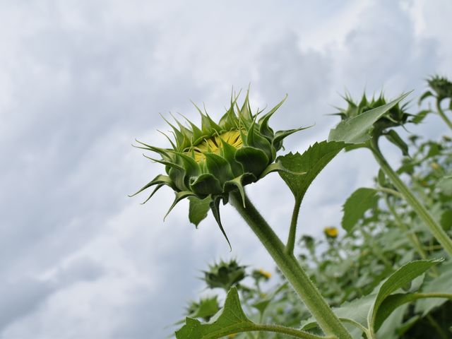 �Ó�Ђ܂��L��