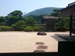 tacopoň܏\钃ւ̓eʐ^1