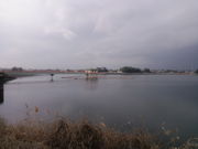 korikori̔(orj̓eʐ^1