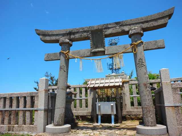 �X�ɓo��ƒ�������������_��F�R