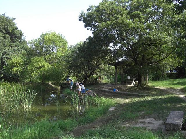 ߂ڂڂ̊qsRԉ̓eʐ^1