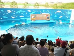 W̐䂤݂̓mقւ̓eʐ^1