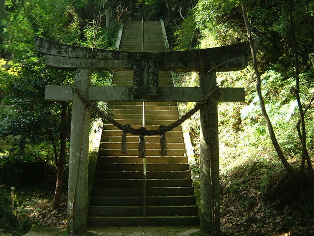 Ԃ񂳂̔ÕQ_Ђ̓eʐ^1