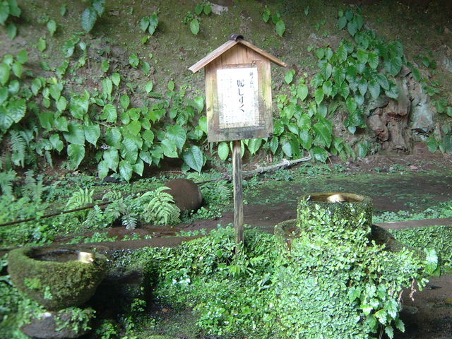 �P������_�����ÕQ�_��