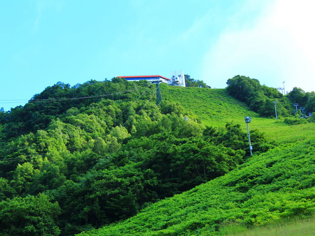 ̒߂ȂȂǂł_MVR[vEGCXL[