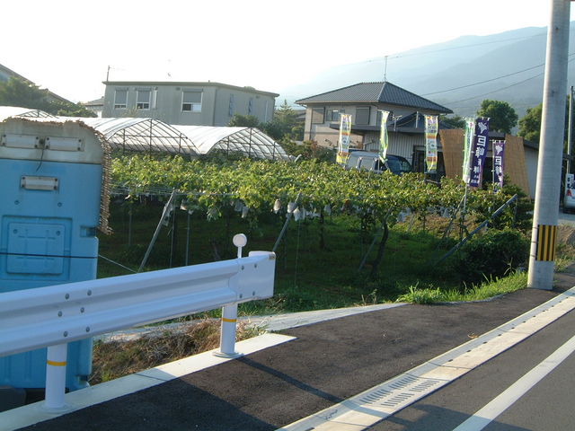 �Ԃǂ����ƒ�����_�Ԃǂ����