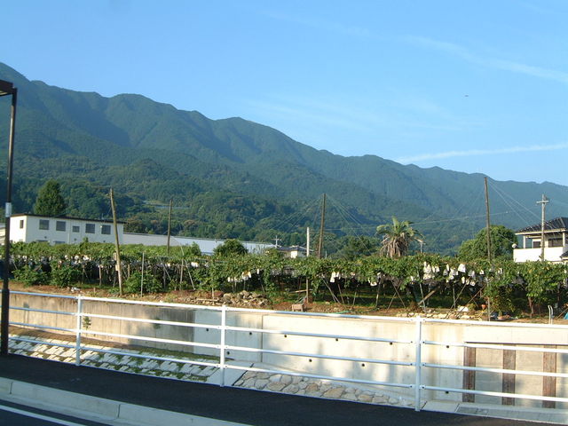 �Ԃǂ���_�Ԃǂ����