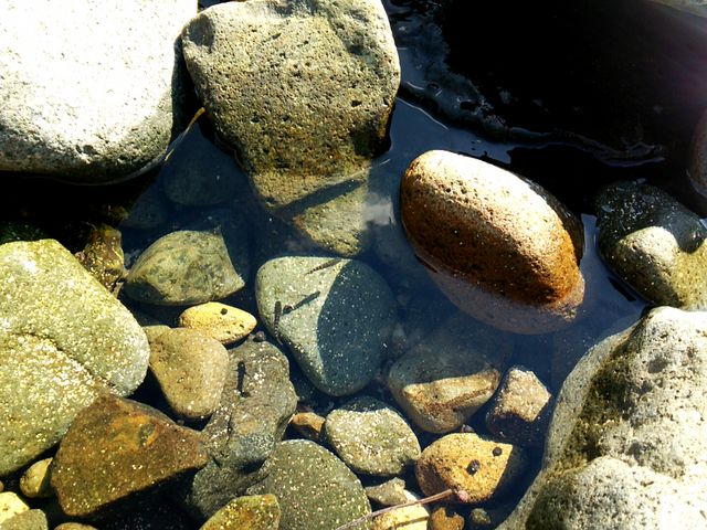 �����ӊC��