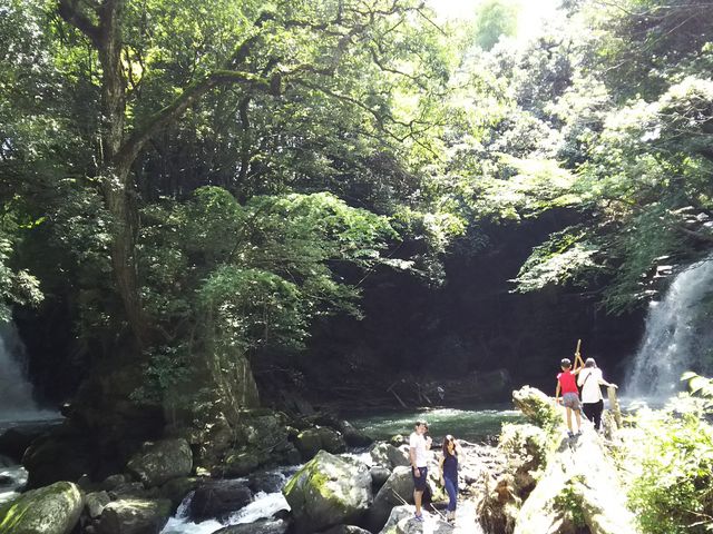 �v�w��_�v�w��