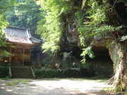 Ԃ񂳂̔ÕQ_Ђ̓eʐ^2