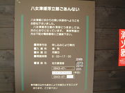 Ԃ񂳂̔ÕQ_Еق̓eʐ^2