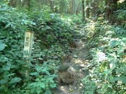 Ԃ񂳂̐쌴詓̓eʐ^1