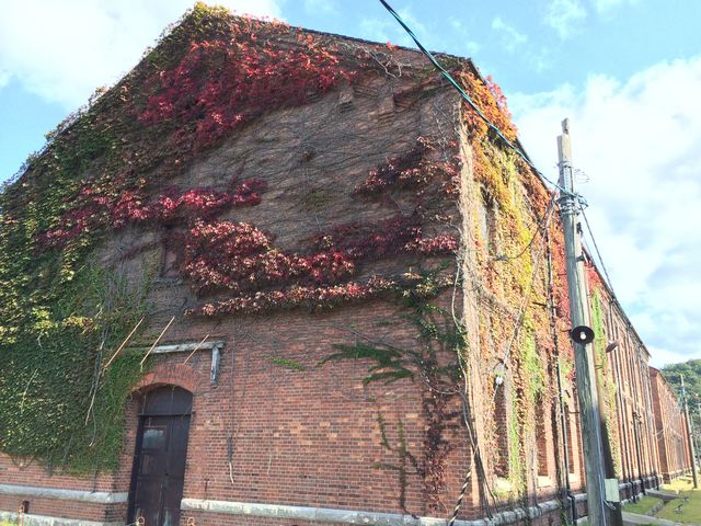 ���ߐԂ�񂪃p�[�N