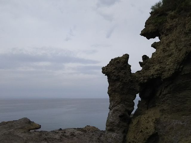 �q�F�����A�����悤�Ƃ����O�}����A�ł��B_����C��