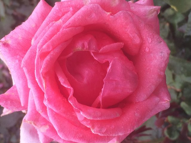 �����o����