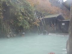 マックさんの鶴の湯温泉の投稿写真7