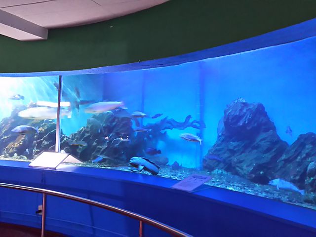 �����ق̒�_�m�V���b�v��