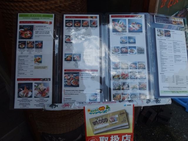 �������傤�N���̊C����