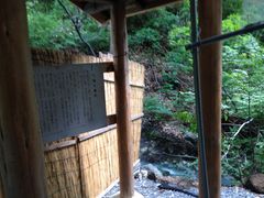 �ʂ���񂳂�̑��������I�V���C�ւ̓��e�ʐ^1