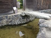 ���񂸂���̗����̓��e�ʐ^1