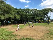 masa1978̏哇Lv̓eʐ^1