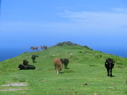 񂳂̉B򍑉C݂̓eʐ^4