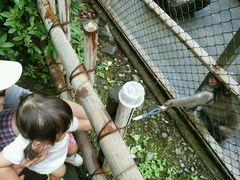 satsủ͌Ή܂킵ւ̓eʐ^1