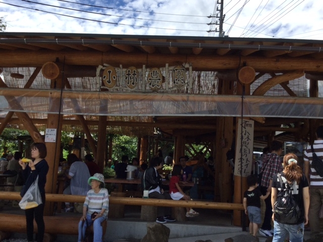 Ђ肳̏є_ԃTCX̓eʐ^1