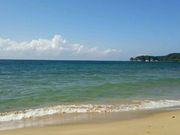 񂳂̋Ճl̖荻̓eʐ^1