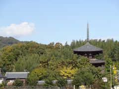 キヨさんの法輪寺への投稿写真1