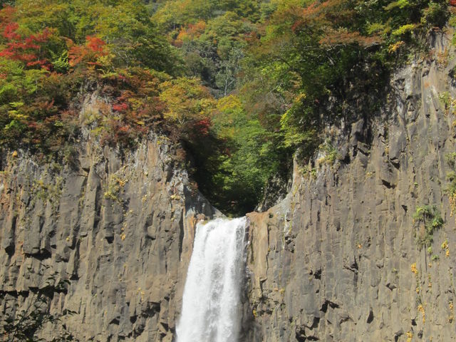 滝 男鹿川大滝／白滝・栃木県【濃い自然に包まれた沢歩き】 | 滝