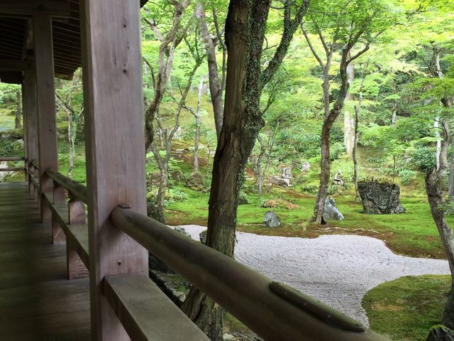 �����ɍ����ĉ؂₩�ȗ΂����ł�����̎���_�����T��