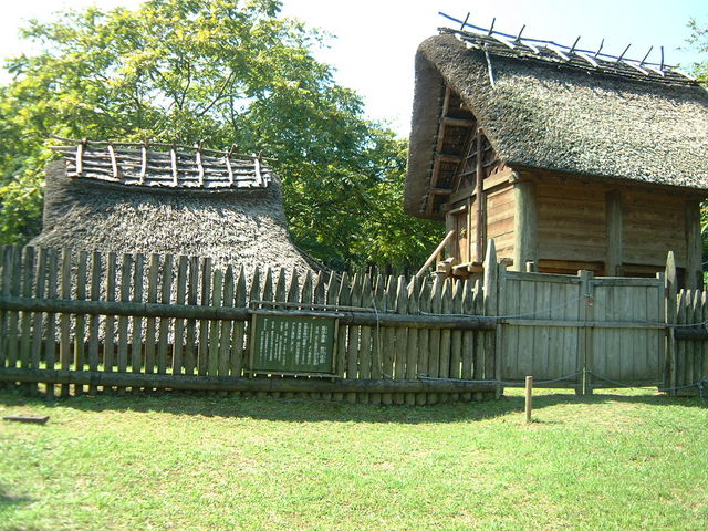 Ԃ񂳂̖퐶̍L̓eʐ^2