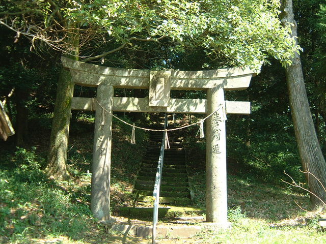 Ԃ񂳂̊ˎRÕ̓eʐ^3