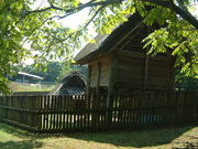 Ԃ񂳂̖퐶̍L̓eʐ^1