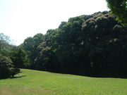 Ԃ񂳂̊ˎRÕ̓eʐ^2