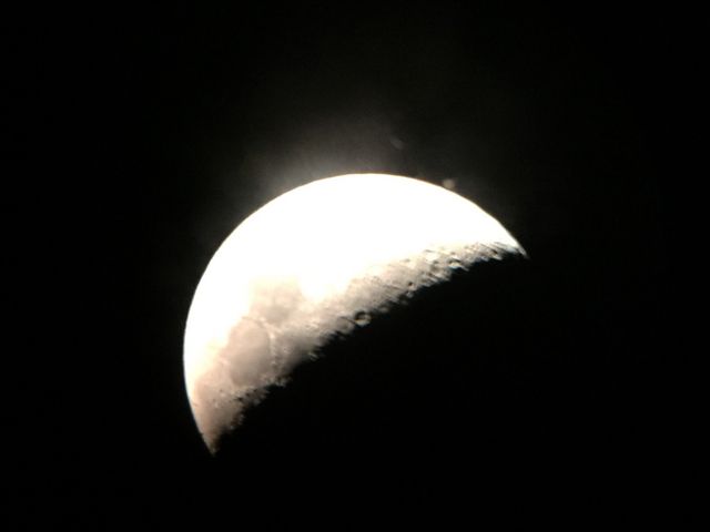 ����ƌ������V����̓���]�������猩�������l_���a�����V����