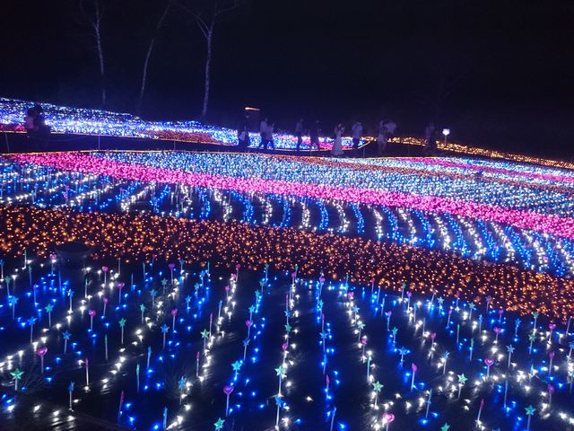 �Ƃɂ���������_�y���l�̐��n�z�A�p���]�[�g��z�����W�]��